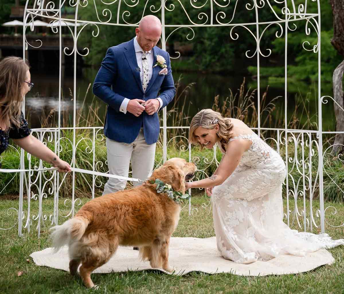 Wilson & Lewis Photography - dog-friendly wedding photographer Adelaide