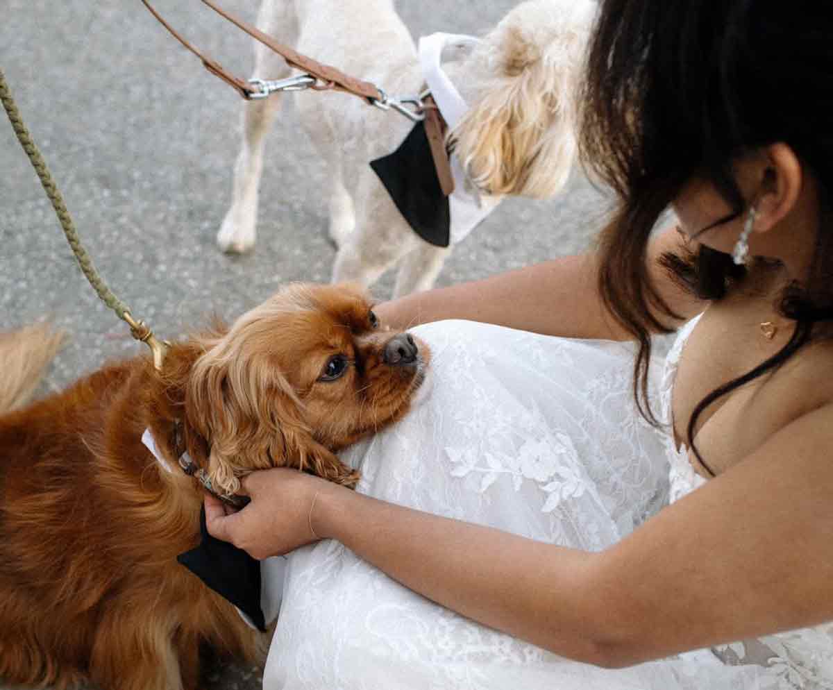 Love Fool Photography - dog-friendly wedding photographer Adelaide