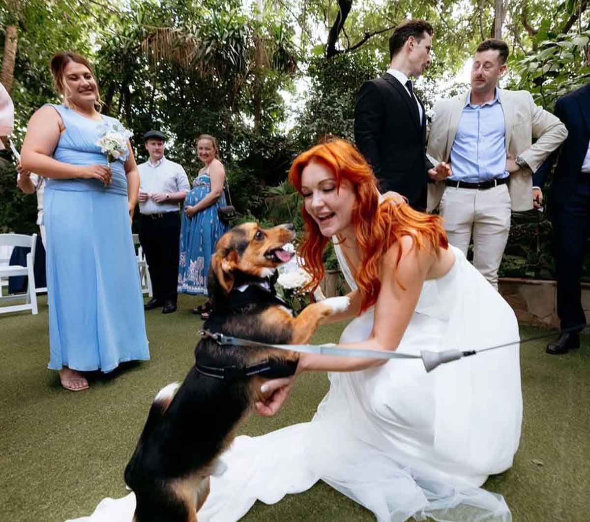 Boulevard Gardens - dog-friendly wedding venue Brisbane