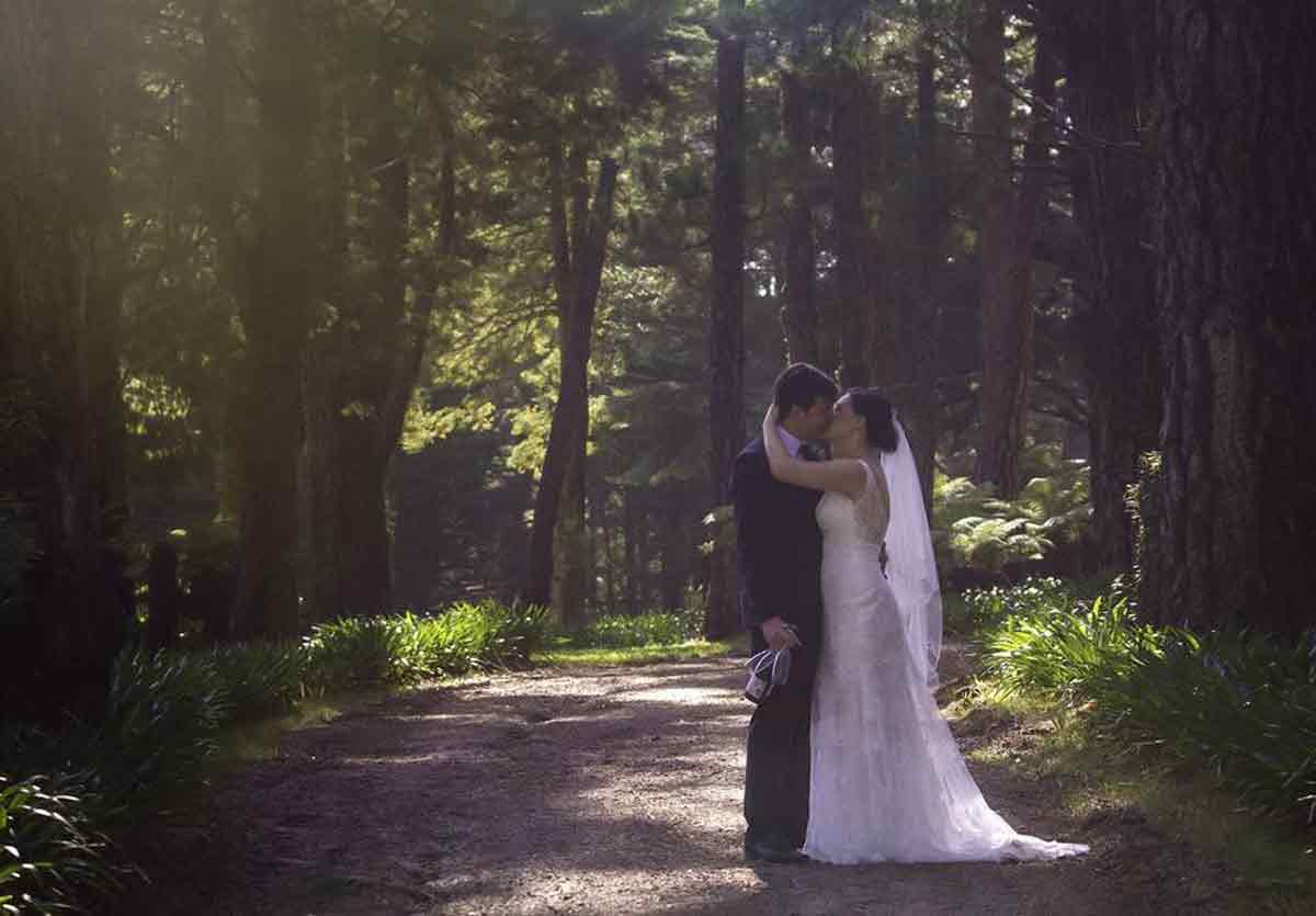 Allview Escape - dog-friendly wedding venue Blue Mountains