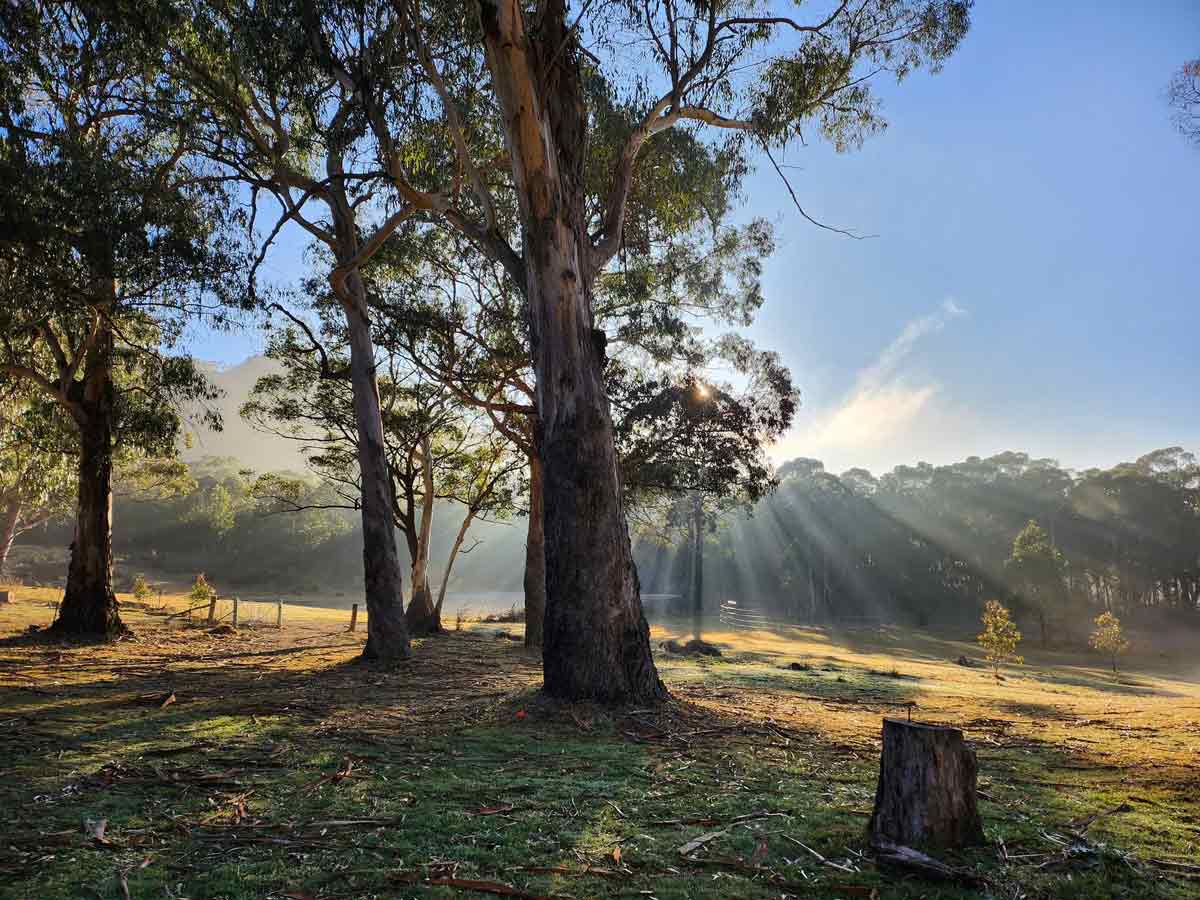 Redgate Farmstay - dog-friendly wedding venue Blue Mountains
