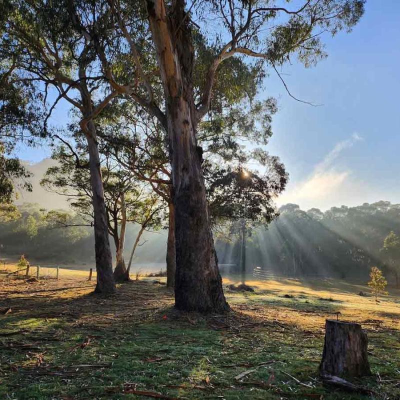 Redgate Farmstay