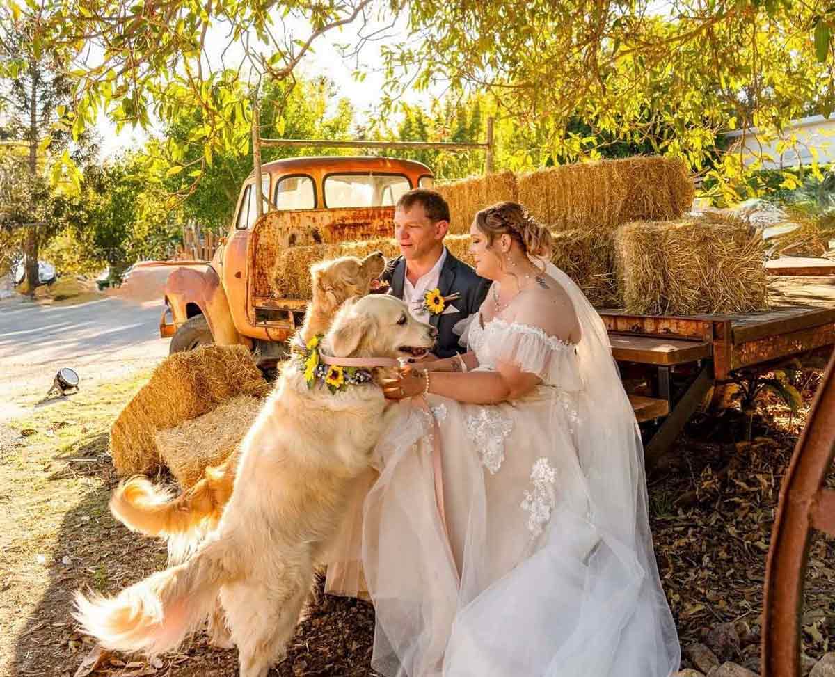 Element Events - dog-friendly wedding venue Brisbane