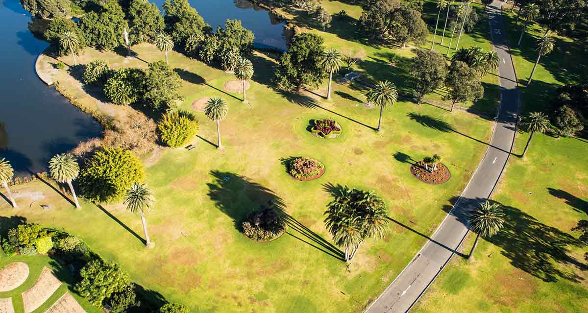 Centennial Parklands - dog-friendly wedding venue Sydney