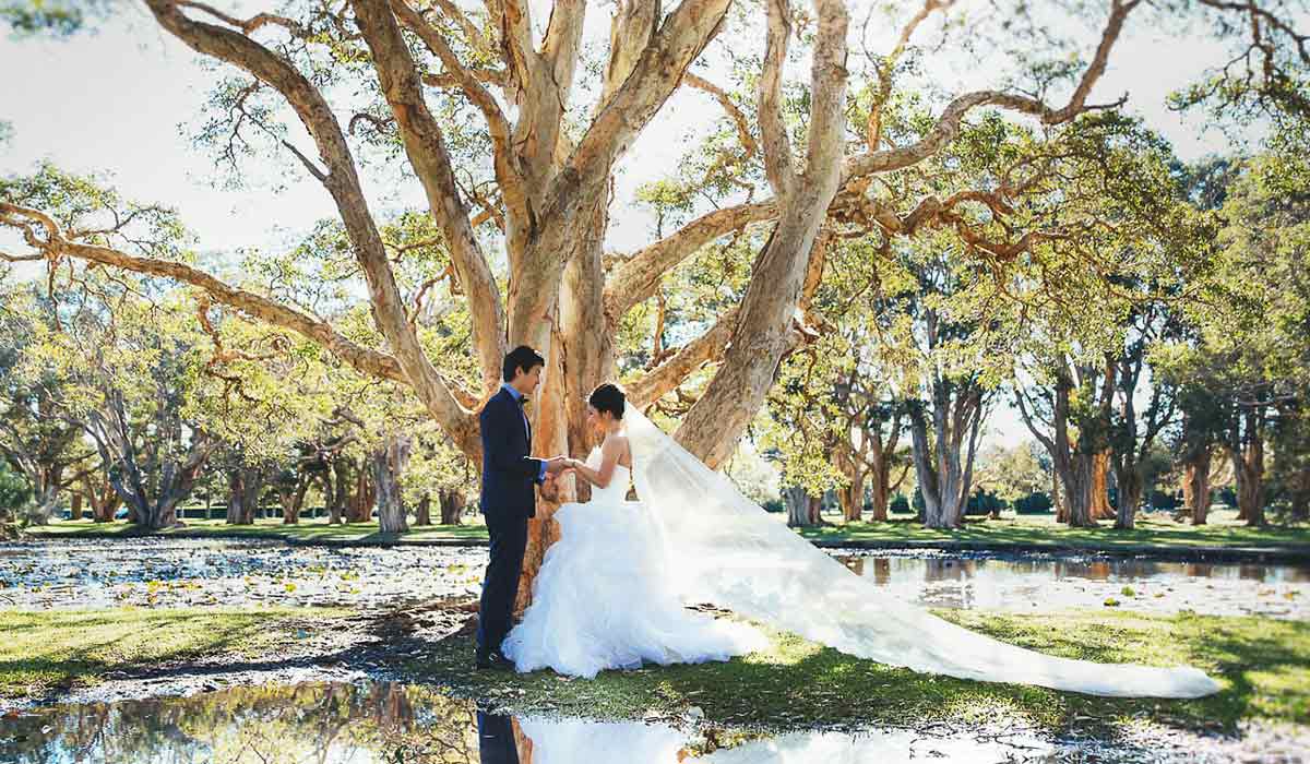 Centennial Parklands - dog-friendly wedding venue Sydney