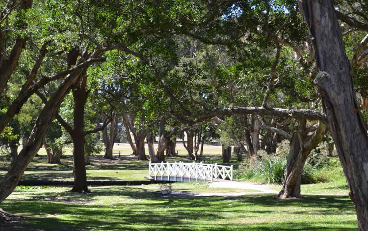 Centennial Parklands - dog-friendly wedding venue Sydney