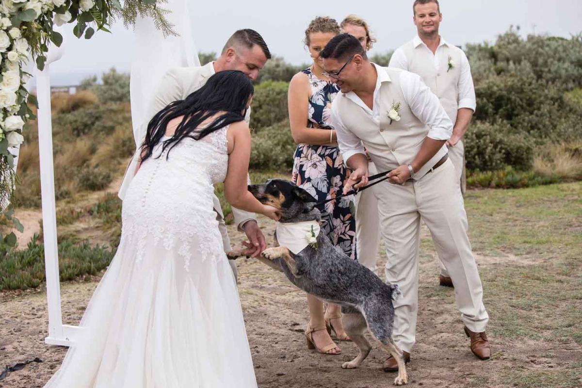 Michelle Kiernan - Melbourne dog-friendly wedding celebrant