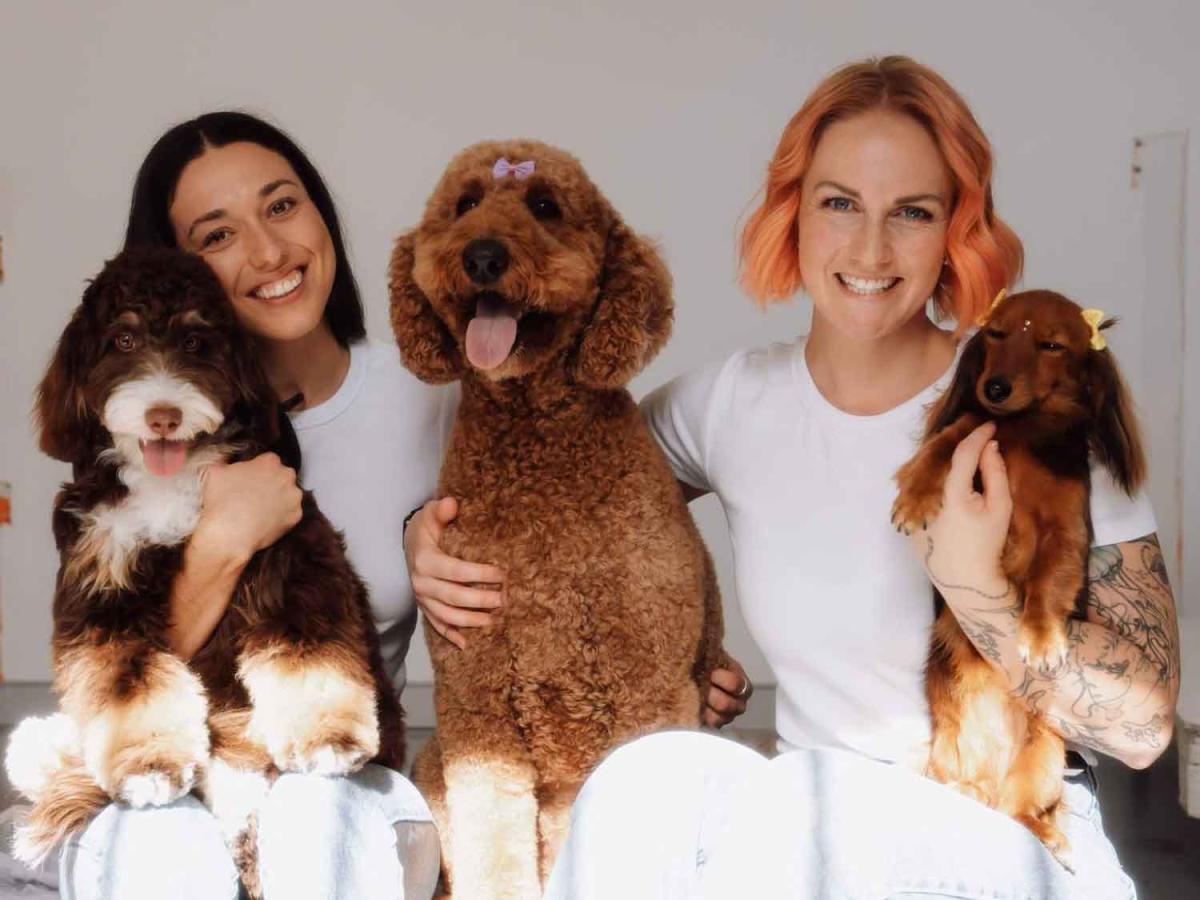 Whaggy Whiskers - Gold Coast dog wedding attendant