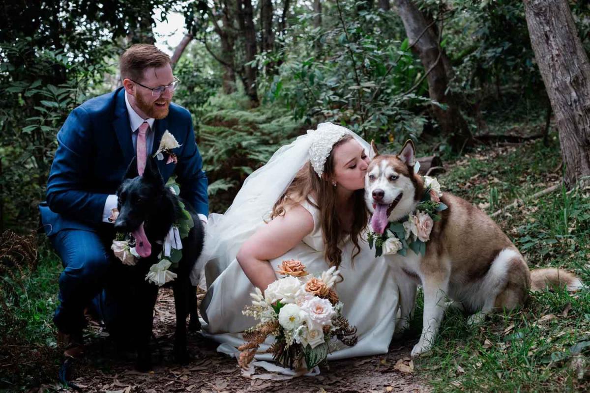 Paper Cranes - Sydney dog-friendly wedding photographer